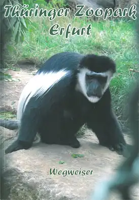 Wegweiser, 2. Ausgabe (Guerezas). 