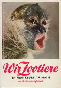 Wegweiser “Wir Zootiere in Frankfurt am Main" (Klammeraffe). 