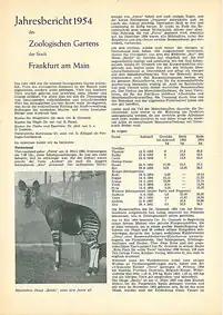 96. Jahresbericht (1954). 
