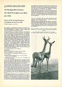 98. Jahresbericht (1956). 