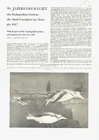99. Jahresbericht (1957). 
