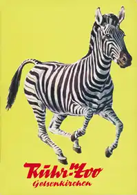 Wegweiser (Zebra). 
