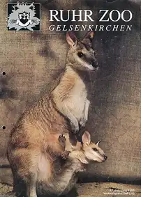 RuhrZoo Magazin / Jahresbericht 1991 (13. Jg., 1992). 