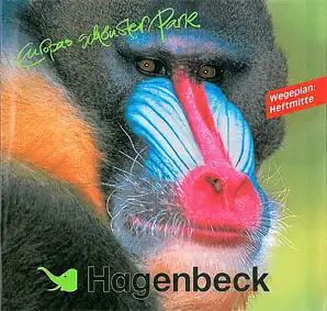Parkführer (Mandrill). 