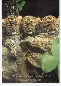 Geschäftsbericht 1985. 