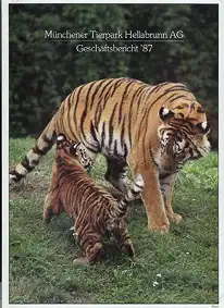 Geschäftsbericht 1987. 