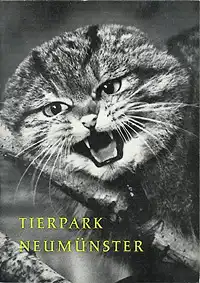 Der Tierpark Neumünster (Wildkatze). 