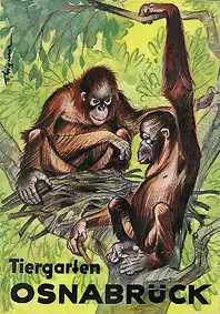 Zooführer (Zeichnung Orang Utans). 