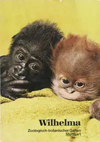 Zoof?hrer (Gorilla + Orang Utan/Jungtiere). 