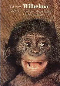 Zoof?hrer (Junger Bonobo, 125 Jahre). 