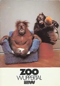 Zooführer (Orang Utans). 