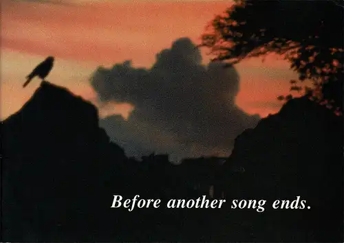 Before Another Song Ends (Sonderbroschre). 