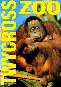 Official Guide (Orang-Utan). 