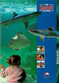 Guide (Kind vor Scheibe, Haie, Rochen). 