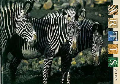 Gids (Zebras). 