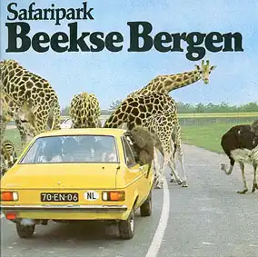 Safaripark Beekse Bergen Führer (Ford mit Affe und Giraffen). 