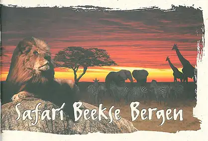 Safariführer (Löwe im Vordergrund). 