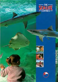 The Sea-Life-Centres. Broschüre  (Haie und Rochen). 
