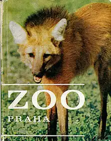 Zooführer (Mähnenwolf). 