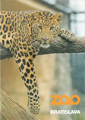 Parkführer (Leopard). 