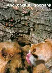 Lageplan (rückseitig Löwenposter). 