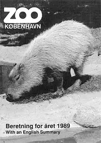 Jahresbericht 1989 m. Summary. 