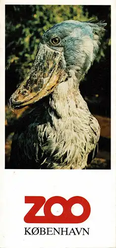 Lageplan (Schuhschnabel). 