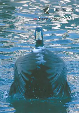 Jahresbericht 2004 (englisch). 
