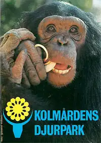 Kolmardens Djurpark (Schimpanse). 
