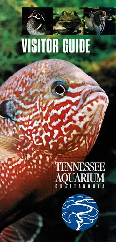 Visitor Guide. 