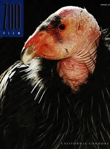 ZOO VIEW Magazine, Spring 1997 (California Condor). 