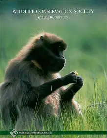 Annual Report 1994. 