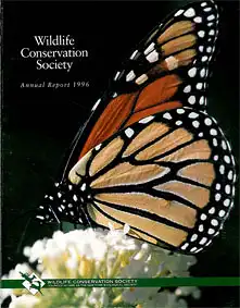 Annual Report 1996. 