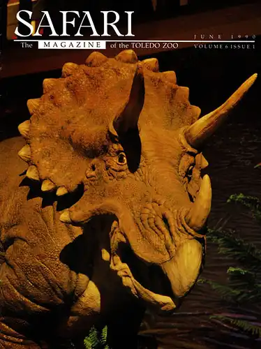 SAFARI Volume 6, Issue 1, June 1990. 
