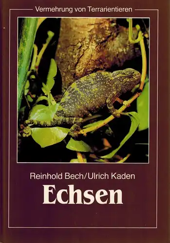 Vermehrung von Terrarientieren. Echsen. 