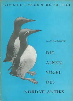 Die Alkenvögel des Nordatlantiks, (Neue Brehm-Büchere, Heft 257). 