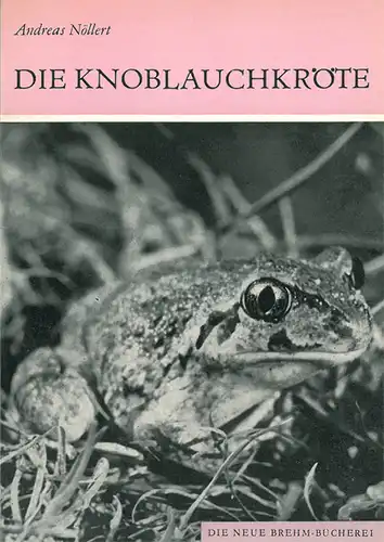 Die Knoblauchkröte. Pelobates fuscus. (Neue Brehm-Bibliothek, Heft 561). 
