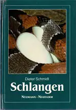 Vermehrung von Terrarientieren. Schlangen. 