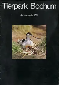 Jahresbericht 1981. 