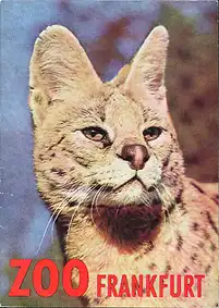 Wegweiser (Serval). 