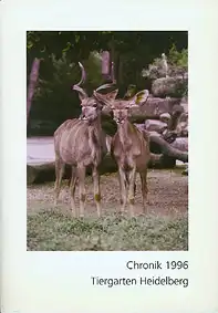 Chronik 1996. 