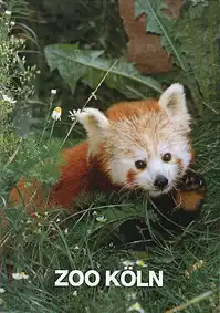 Zooführer (Kleiner Panda). 