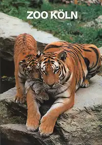 Zooführer (Tiger). 