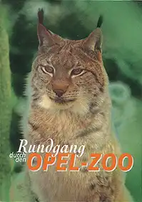 Rundgang durch den Opel-Zoo (Luchs). 