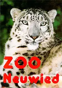 32 Tierkarten (Schneeleopard). 