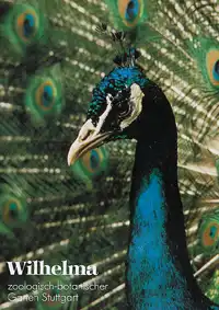 Zoofhrer (Pfau), 37. Auflage. 