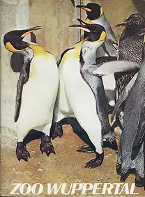 Zooführer (Königspinguine). 