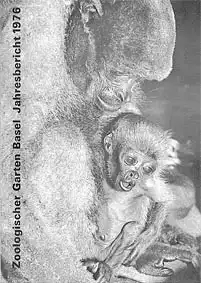 104. Jahresbericht 1976. 