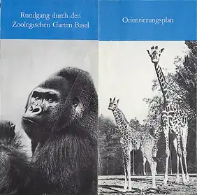 Rundgang durch den Zoologischen Garten Basel (Gorilla "Stefi"/Giraffen) (ohne Eintrittspreise). 