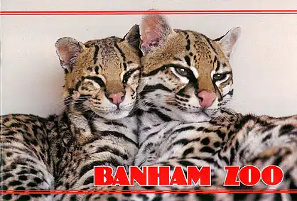 Guide (Ocelots). 